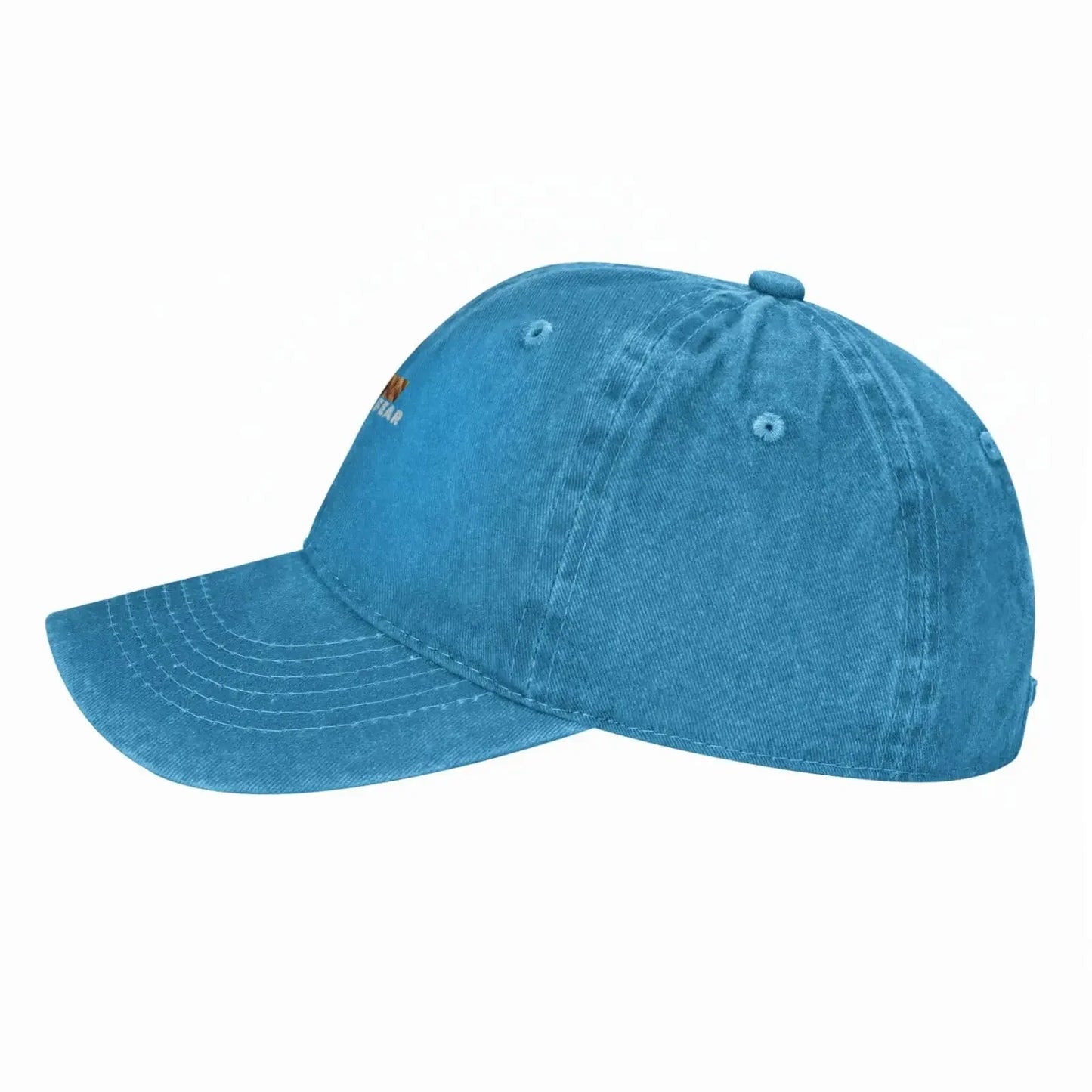 Faith Over Fear Lion Baseball Cap